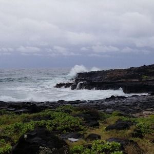 Meet your Posher, Raymond